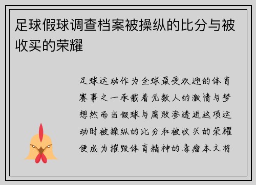 足球假球调查档案被操纵的比分与被收买的荣耀